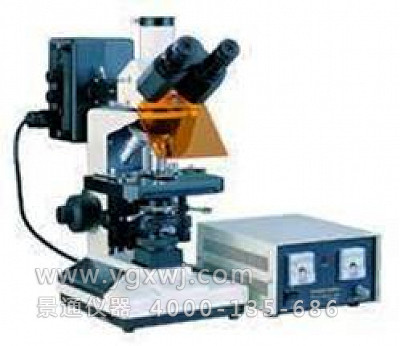 XYS-13荧光显微镜