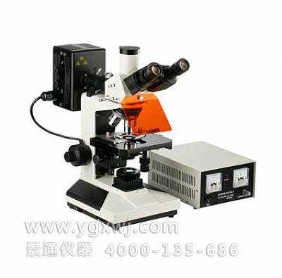 FM-300数码拍照荧光显微镜