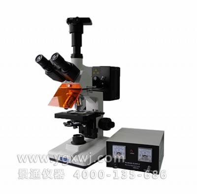 FM-200双目荧光显微镜