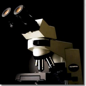 CX41奥林巴斯显微镜