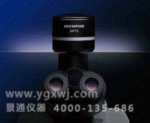 DP73奥林巴斯高色彩还原、高品质荧光成像工业显微镜摄像头