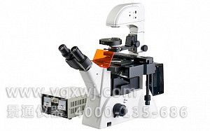 XS-43C三目倒置荧光显微镜