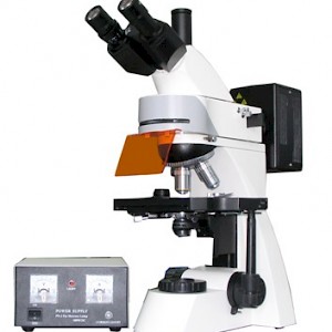 LW300LFT三目落射荧光显微镜