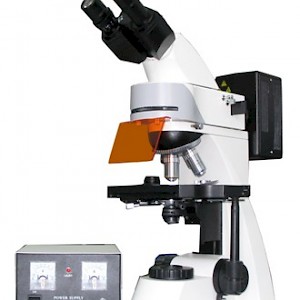 LW300LFB双目落射荧光显微镜