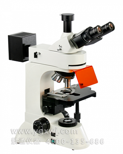 LW300LFT（LED）荧光显微镜