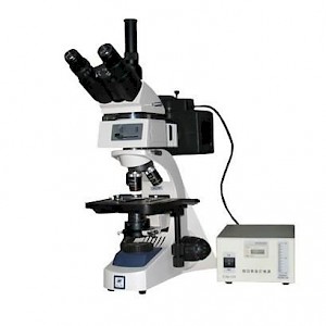 LW300-48LFT 落射荧光显微镜