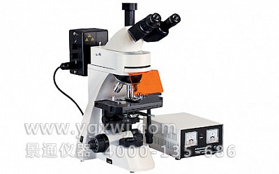 BD-YG3002 正置荧光显微镜