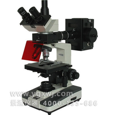 XSP-BM-13C 荧光显微镜