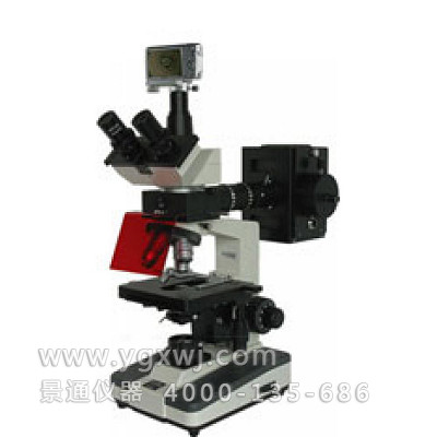 XSP-BM-13CS 荧光显微镜