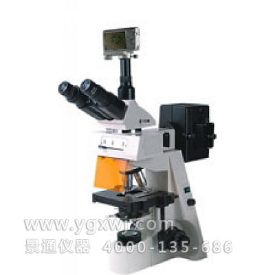 BM-19AYS 荧光显微镜