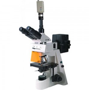 BM-19AYC 荧光显微镜