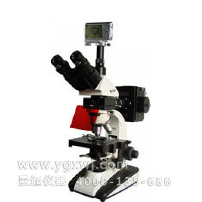 BM-20AYS三目荧光显微镜