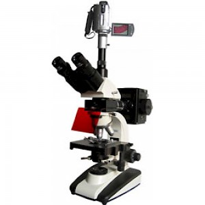 BM-20AYV无限远荧光显微镜