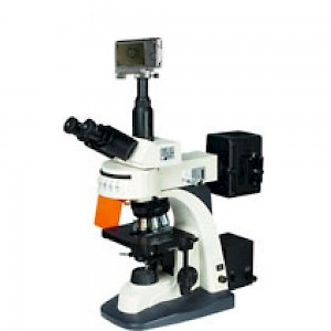 BM-21AYS三目荧光显微镜