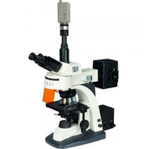 BM-21AYC三目荧光显微镜