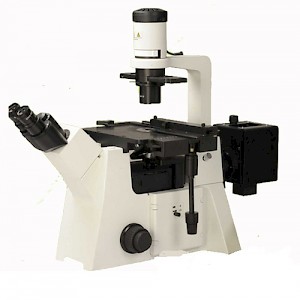 IBE2003倒置荧光生物显微镜