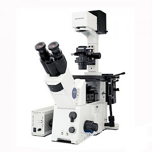 IX71-F22FL/PH荧光倒置显微镜