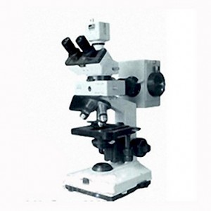 PXSP-C10双目荧光显微镜