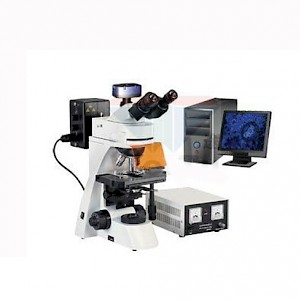 SM-30TC三目荧光显微镜