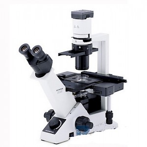 CKX41-32FL三目荧光显微镜