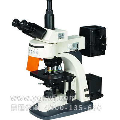 BM-21AY三目荧光显微镜