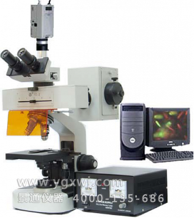 PQF-20系列生物荧光显微镜
