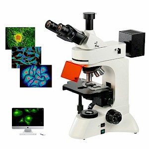 
DYF-680三目正置荧光显微镜