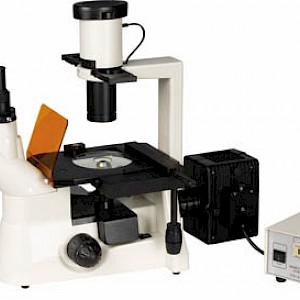
XSP-20C培养皿观察荧光显微镜