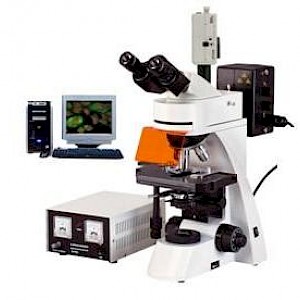 TXM-400正置高档型荧光显微镜