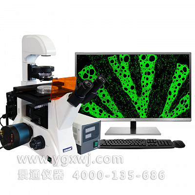 XS-25C科研级三目荧光显微镜