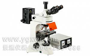 XS-26C三目荧光显微镜