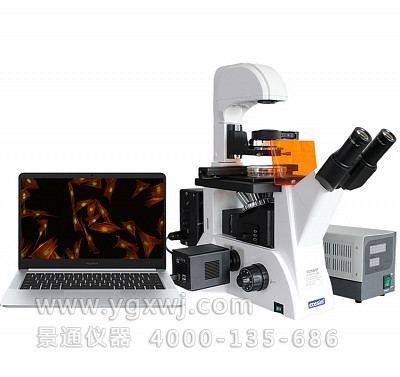 FM-600科研型倒置数码荧光显微镜