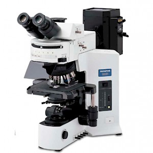 BX51荧光显微镜