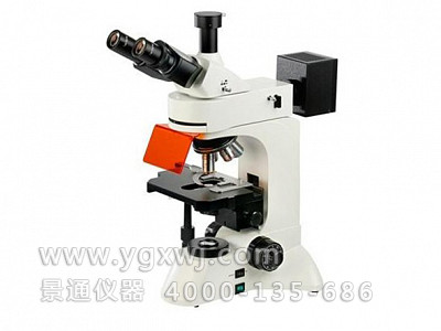 YMT-330透反射荧光显微镜