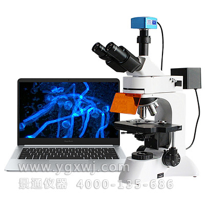 YMT-680研究型LED无穷远透反射荧光显微镜