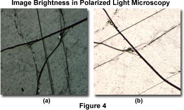 不同类型显微镜所需要的照明亮度分析（荧光，卤素，LED）