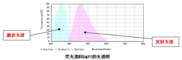 奥林巴斯显微镜荧光激发块