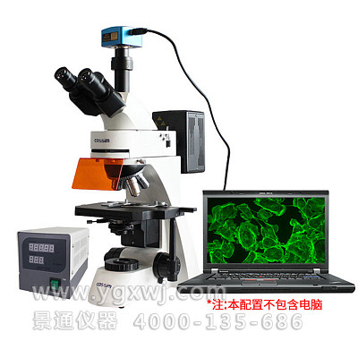 TFM-600数码研究型正置荧光显微镜