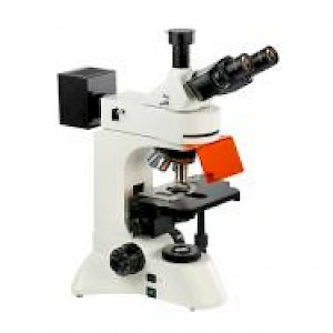 TFM-300A/TFM-300B研究型正置荧光显微镜