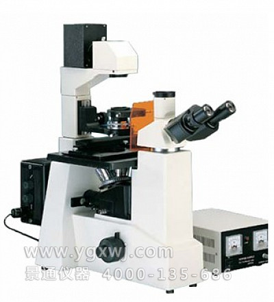 LWD200-37FT倒置荧光显微镜