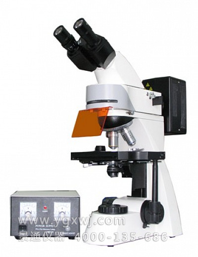 LW300LFB双目落射荧光显微镜