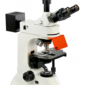 LW300LFT（LED）荧光显微镜