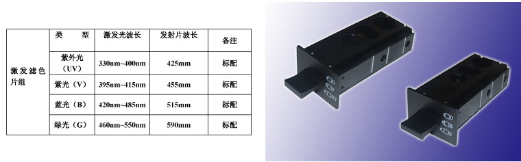 倒置荧光生物显微镜DXY-2