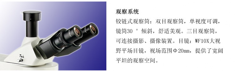 TL3201落射荧光显微镜