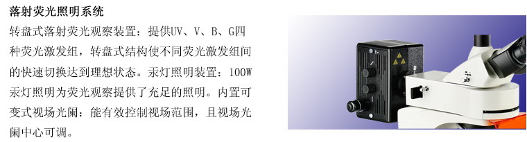TL3201落射荧光显微镜