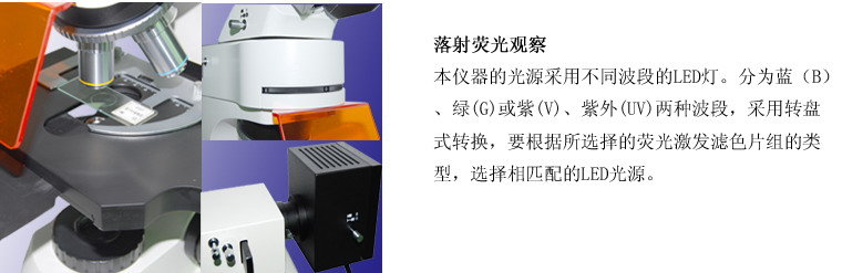                 TL3201-LED正置落射荧光显微镜            