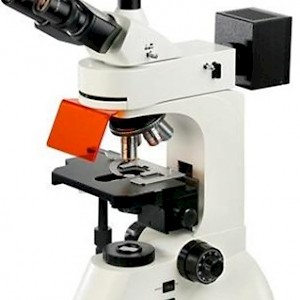 DFM-50D正置荧光显微镜