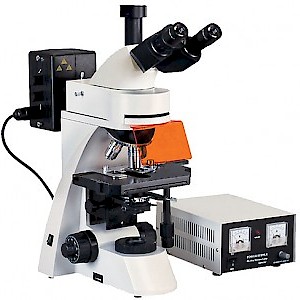DFM-55D无穷远光路系统正置荧光显微镜