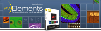尼康显微图像分析软件NIS-Elements