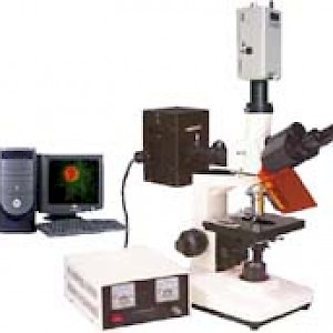 DFM-30C正置荧光显微镜